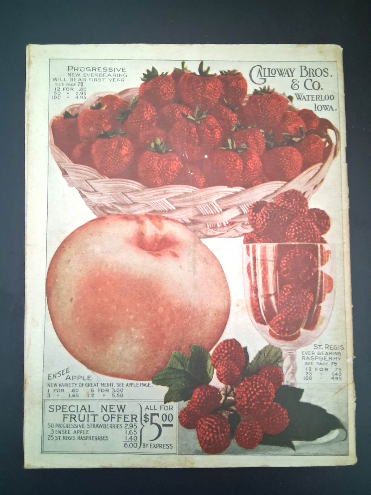 1915 Galloway Bros Iowa Catalog Farm Engines Cast Iron Stoves Clothes Color