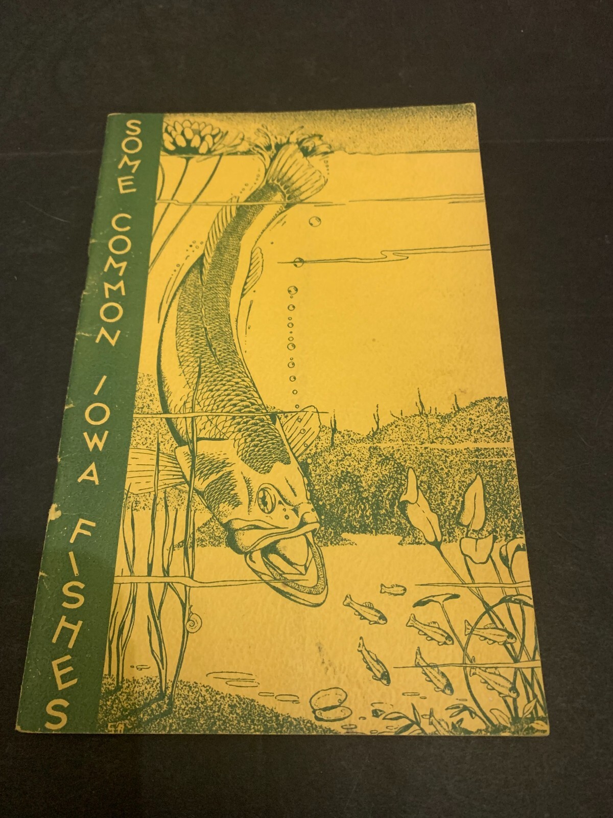 1936 Some Common Iowa Fishes Booklet Iowa State College