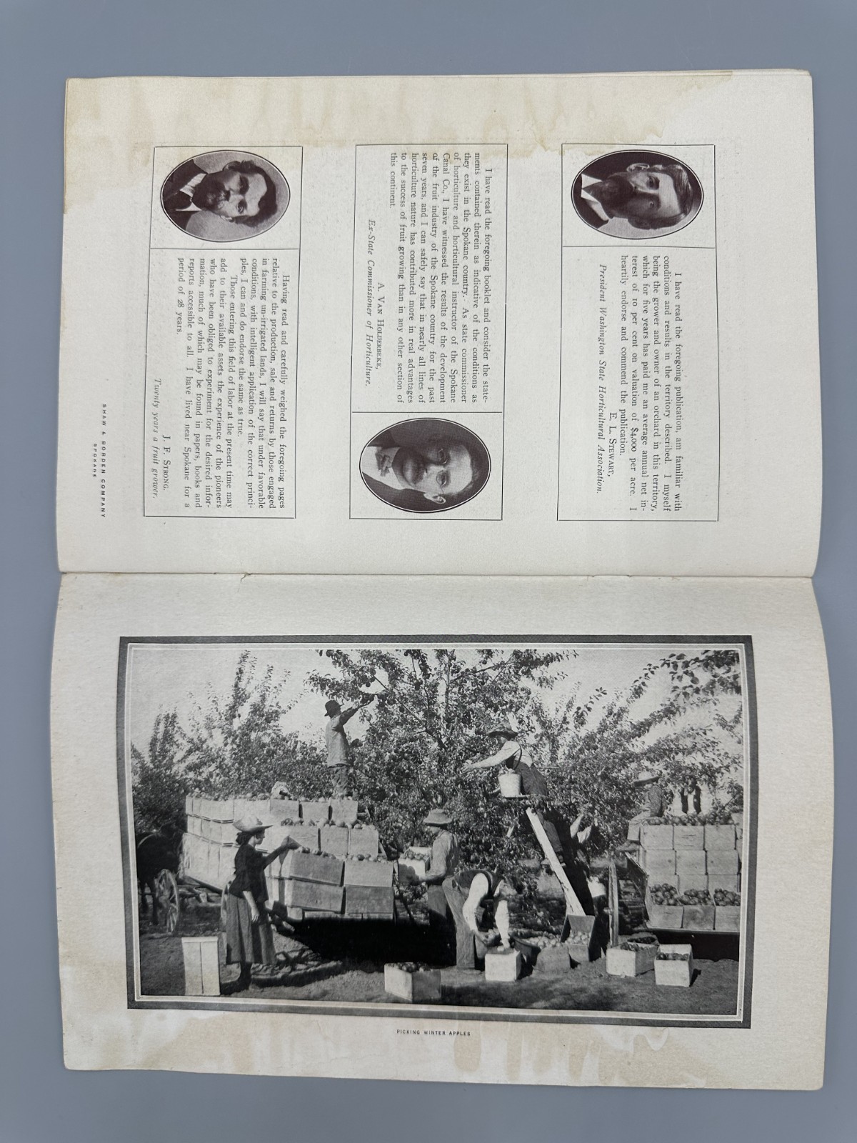 1908 SPOKANE COUNTRY Farming APPLE ORCHARD Fruit HOLT STEAM ENGINE Chamber MAP