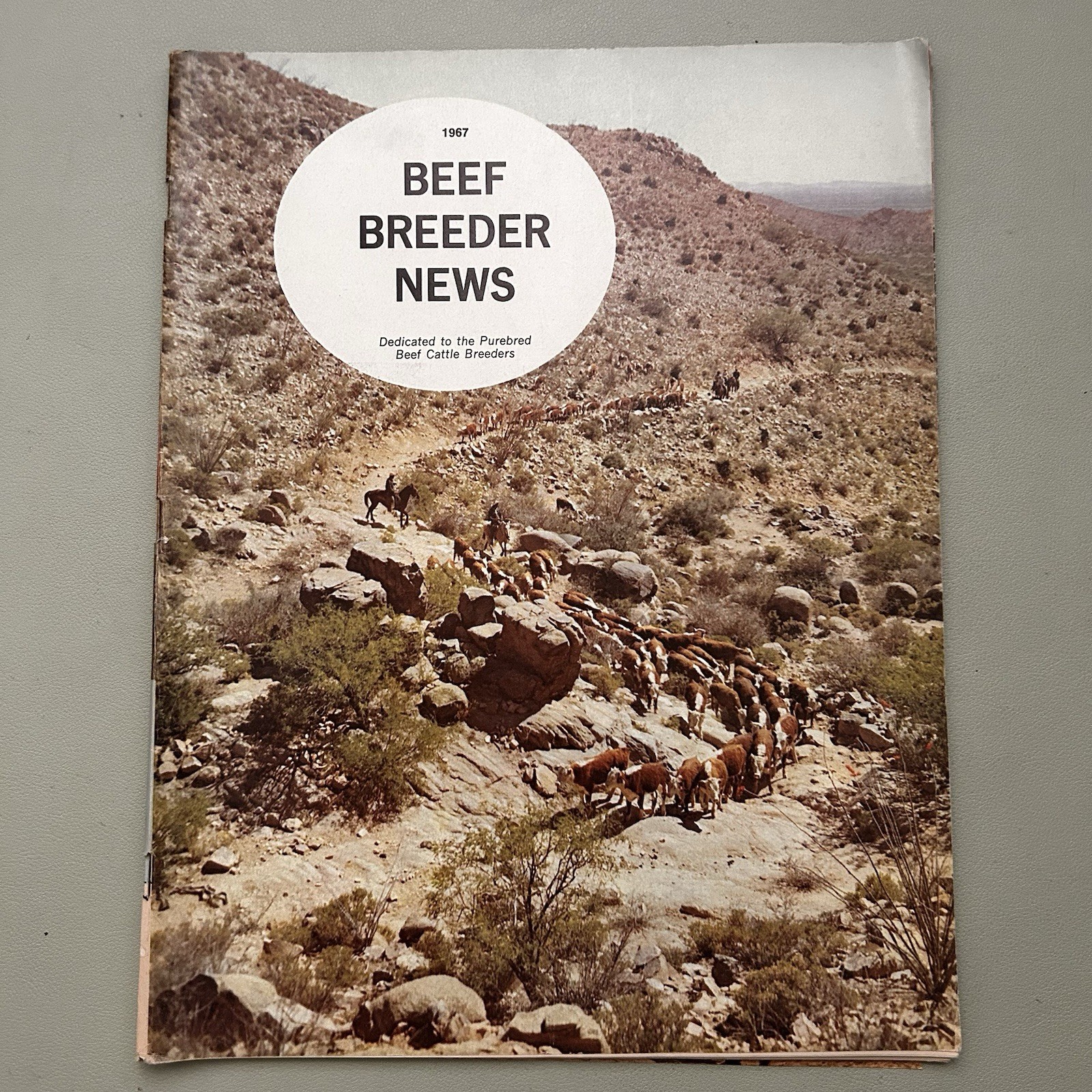1967 Beef Breeder News Dedicated To Pure Beef Cattle Breeders Magazine