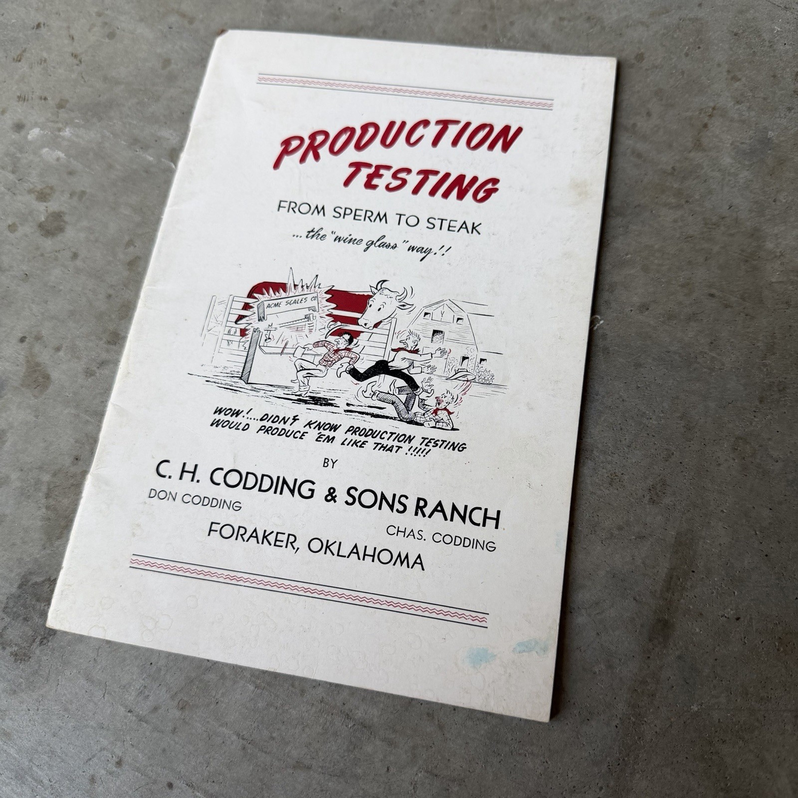 Production Testing Pamphlet Beef Cattle Farming Oklahoma 1955 Codding & Sons