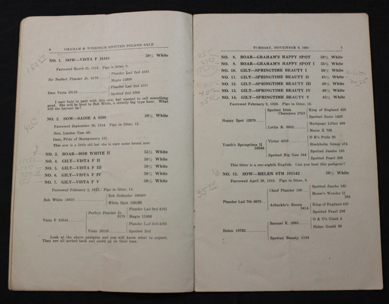 1920 SPOTTED POLAND CHINAS HOG PIG SALE CATALOG ~ NEW CASTLE, INDIANA