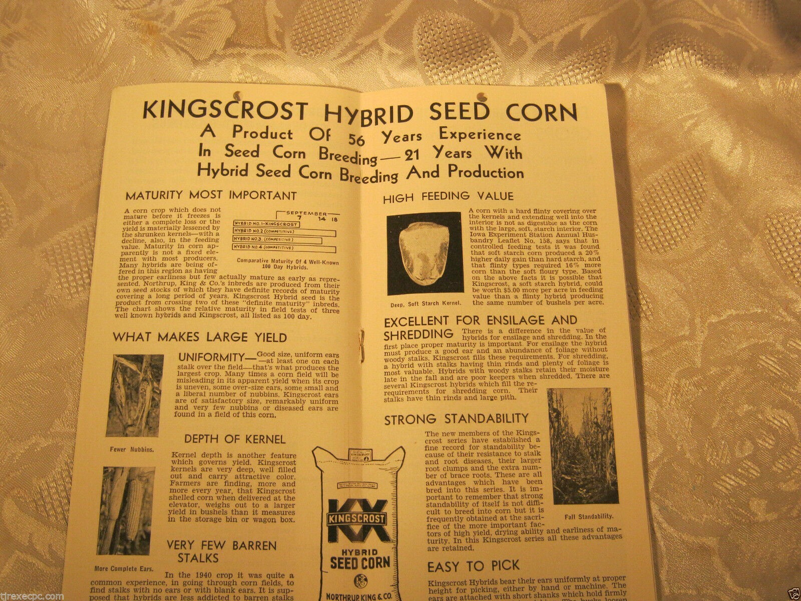 Northrup King & Co Seeds farming catalog Pamphlet vintage agriculture Farm