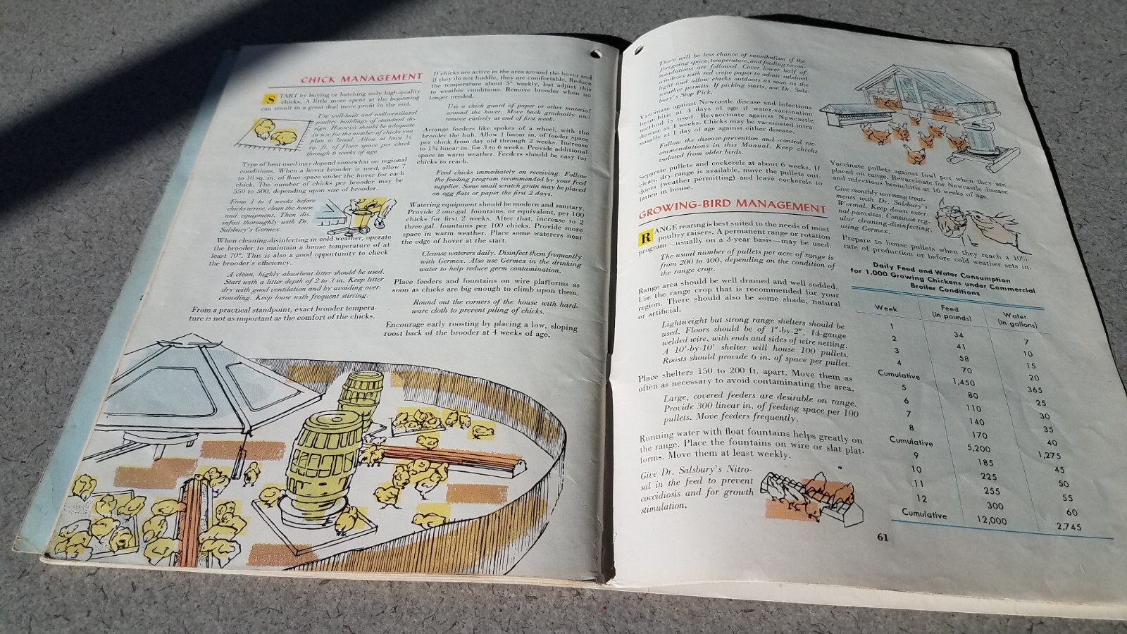 1955 Dr Salsbury&rsquo;s Manual of Poultry Chicken Diseases 64 Pages