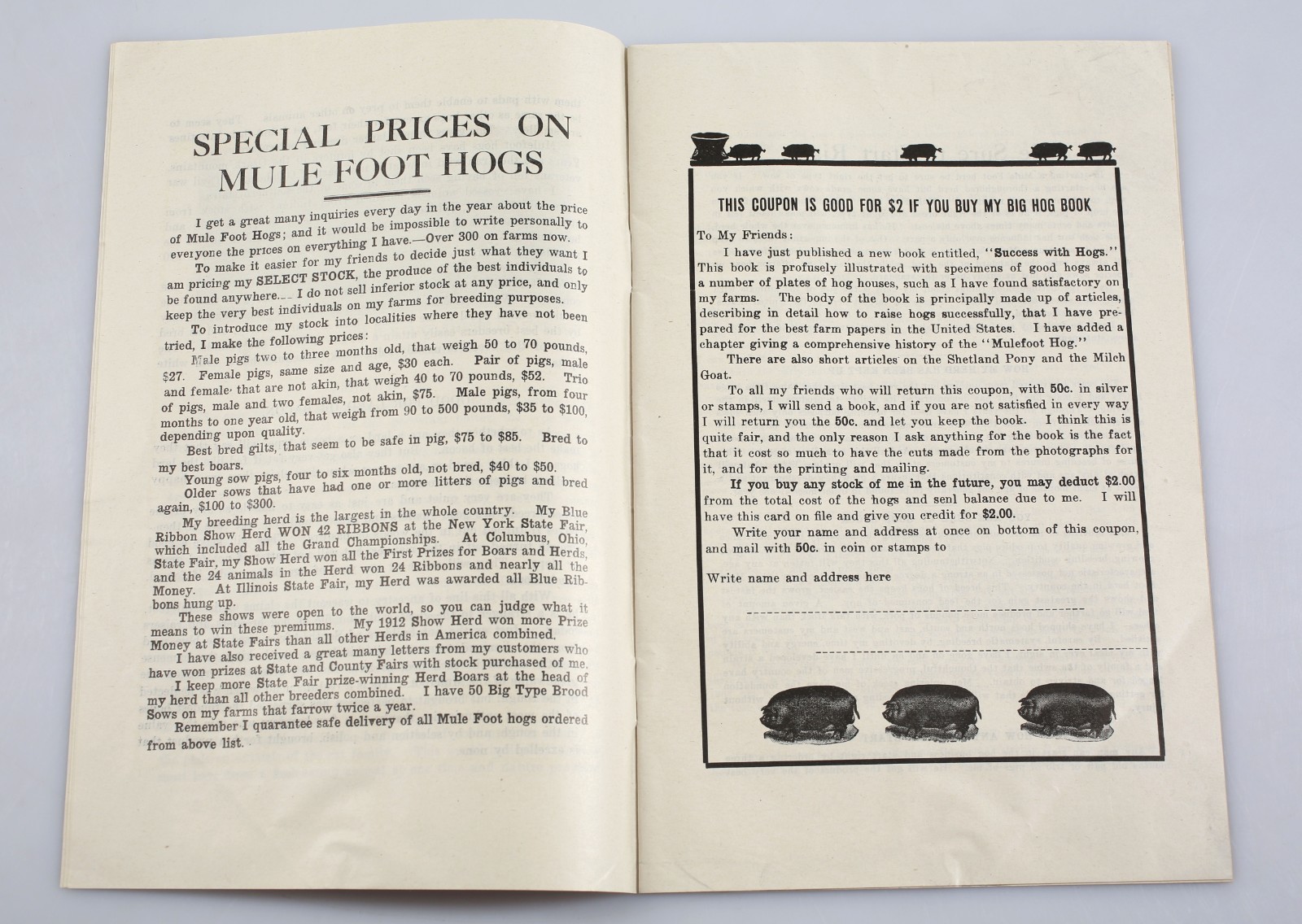 1933 John H. Dunlap Blue Ribbon Stock Farms Mule Foot Hogs Catalog + Ephemera