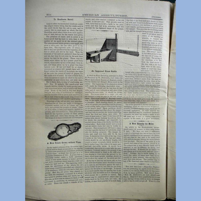 1863 DEC antique AMERICAN AGRICULTURIST farm garden household orange judd