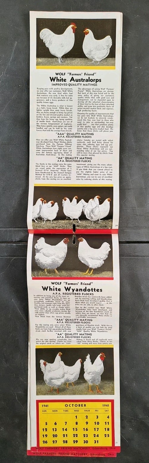 1941 Wolf Baby Chicks Catalog Calendar Sale Brochure Chicken Farming Advertising