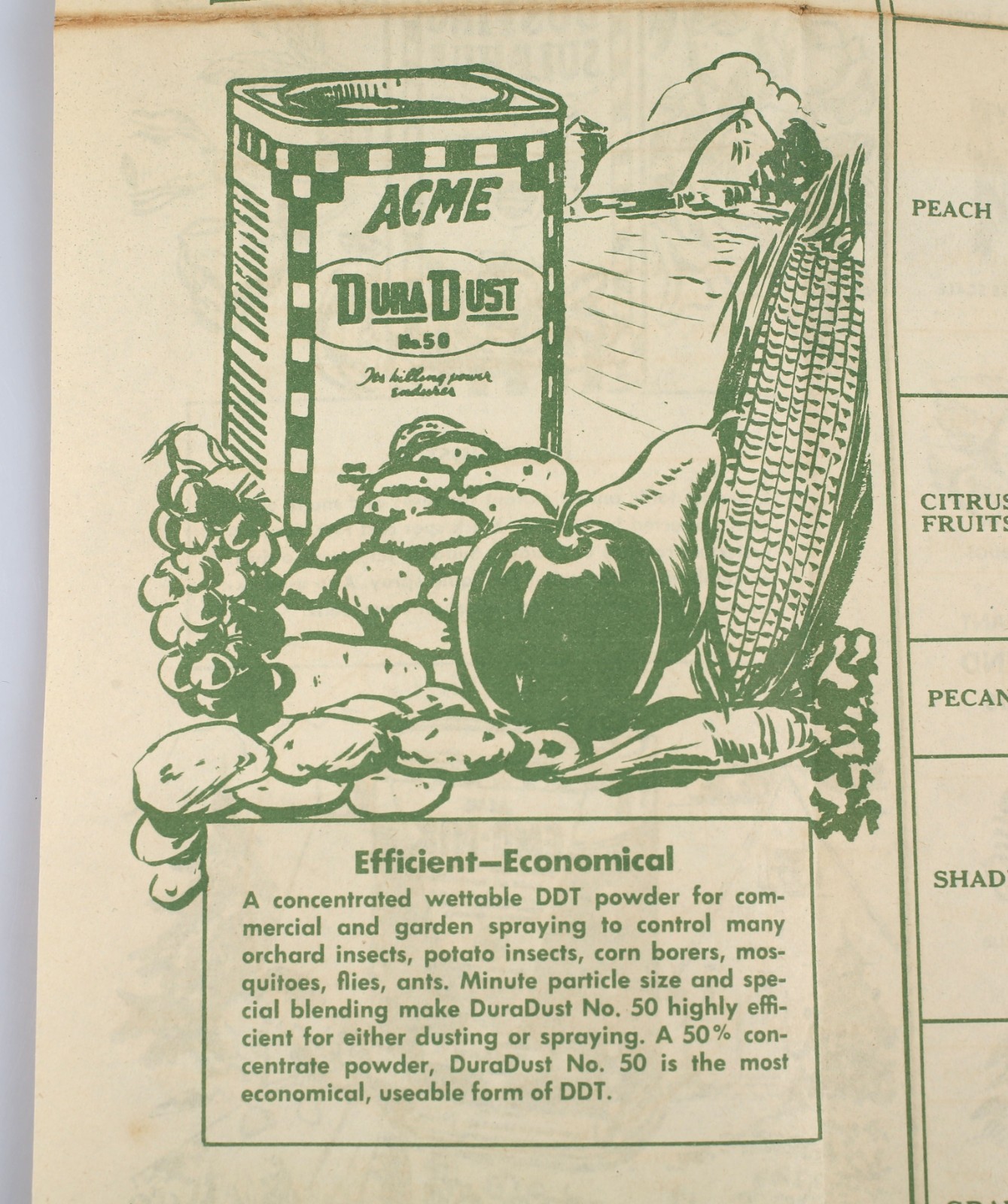 Vintage ACME Spraying Dusting Guide Foldout Poster Arsenic DDT Poison Sulfur