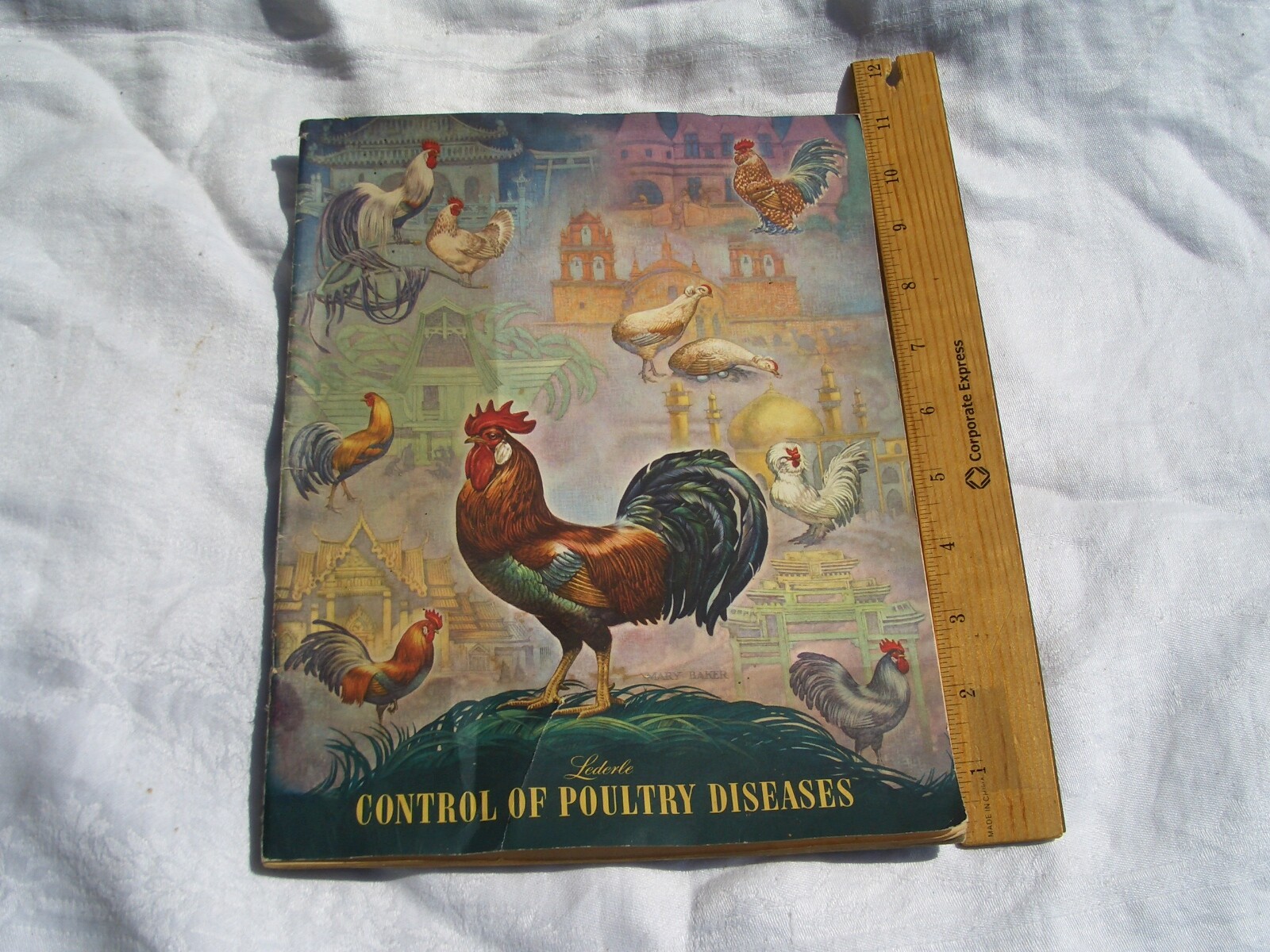 1951 Control of Poultry Diseases *Lederle Lab Chicken Treatment *Ships Free 2 US