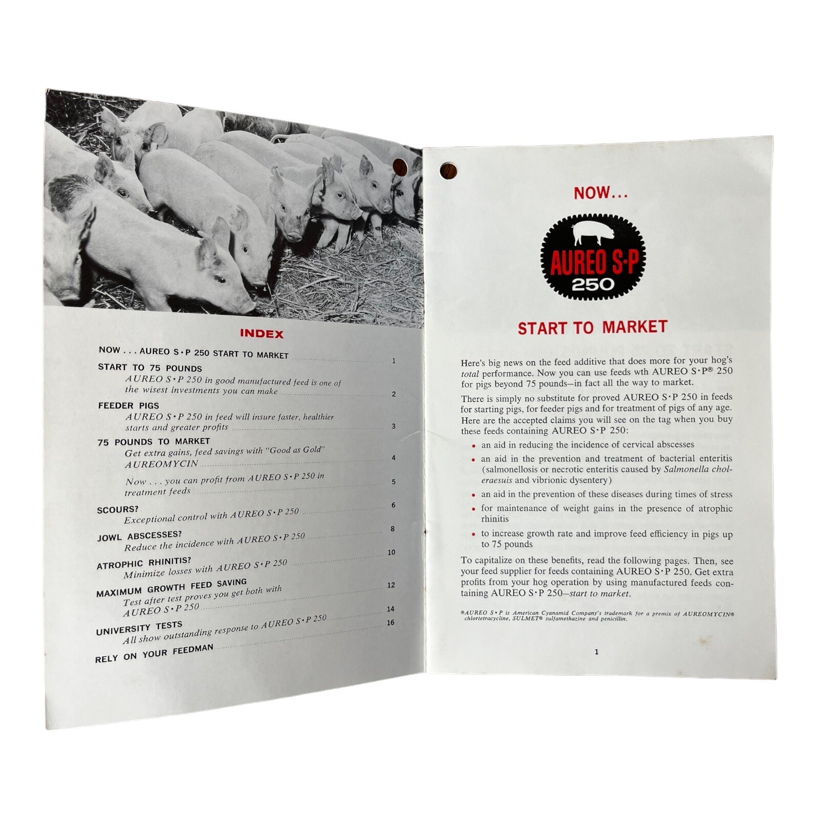 Vintage Aureo SP 250 Feed Pork Profit 16 Page Brochure Print Advert