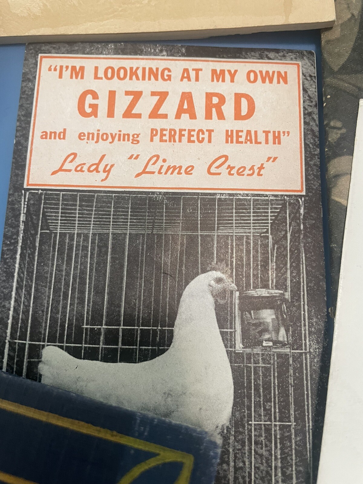vintage chicken instruction manuals PA Farmer How to Select Laying Hen