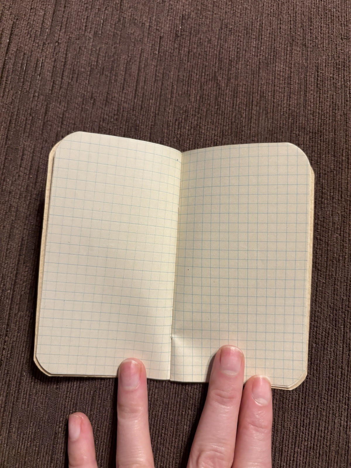 Antique Angell’s Star Condition Powder Knoxville PA Advertising Memo Notebook