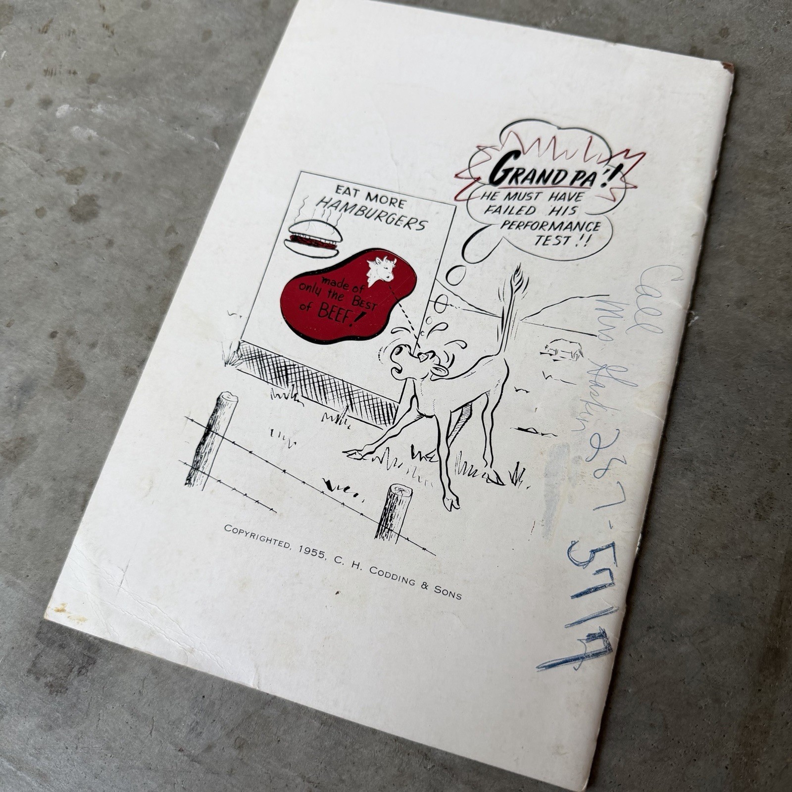 Production Testing Pamphlet Beef Cattle Farming Oklahoma 1955 Codding & Sons