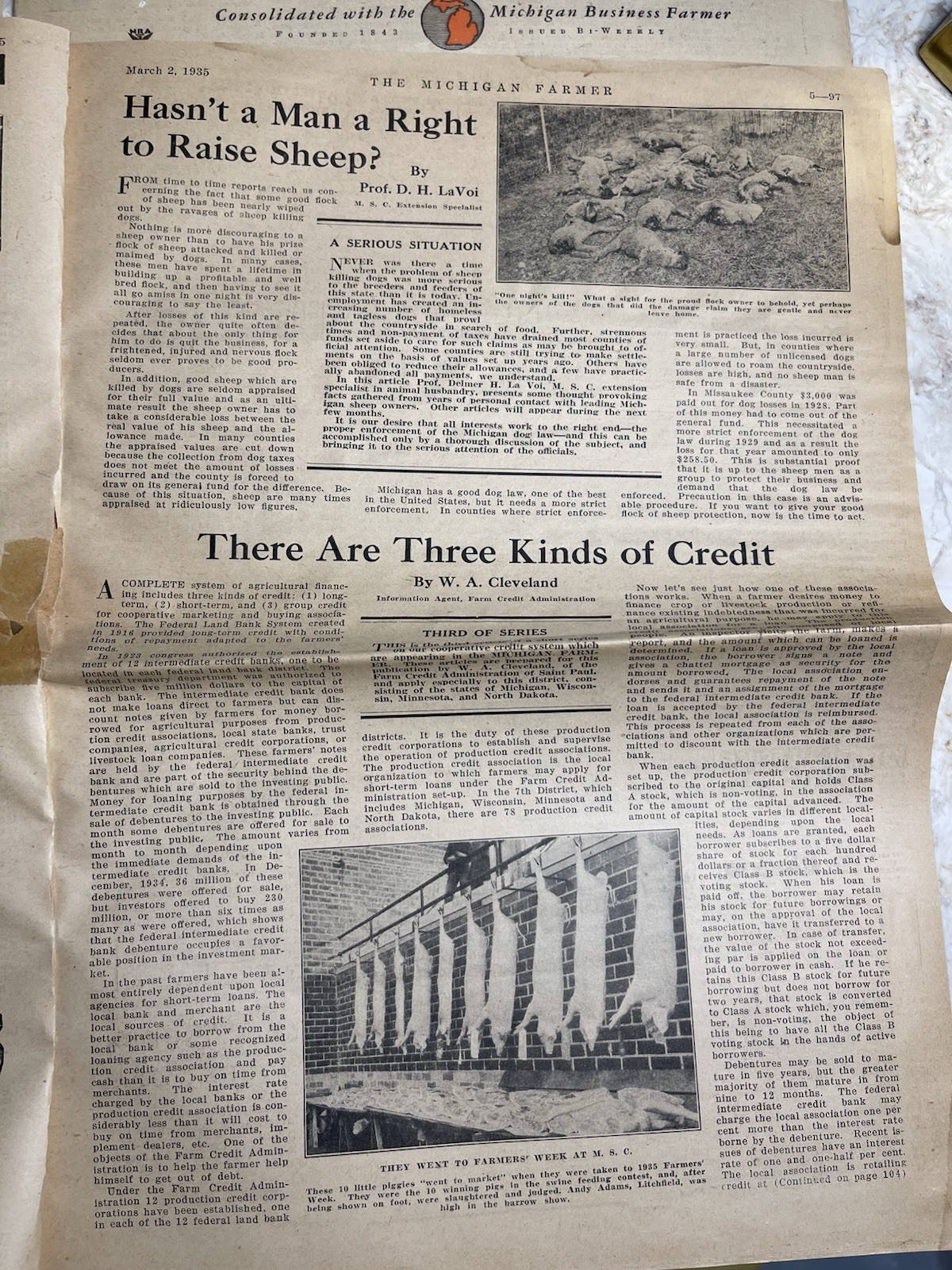 3 Vintage 1935 Michigan Farmer Papers Detroit Livestock Planting Recipes Fruit