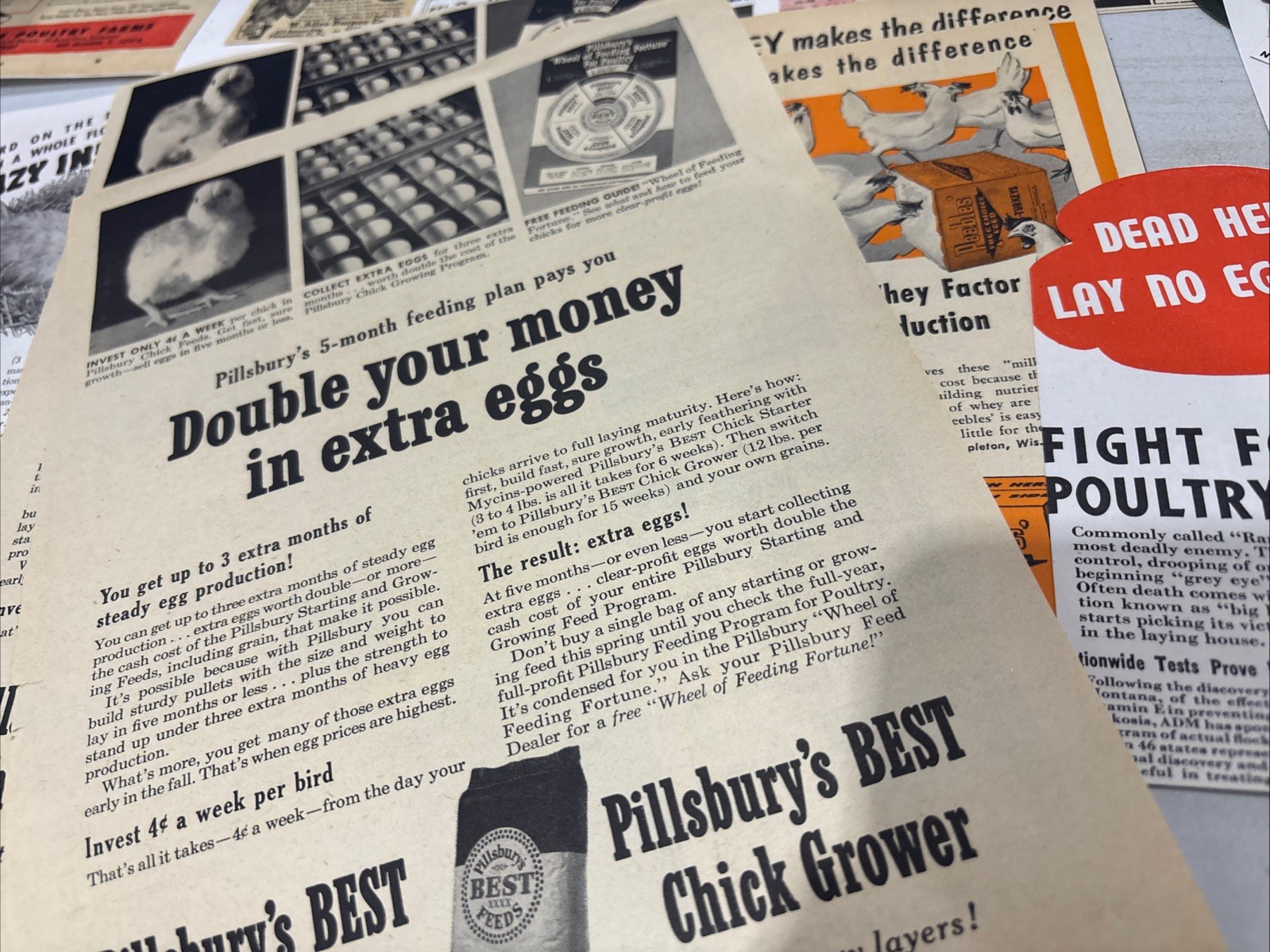 Lot Of 60 Chicken Poultry Egg Related Magazine Print ads 1930-50s