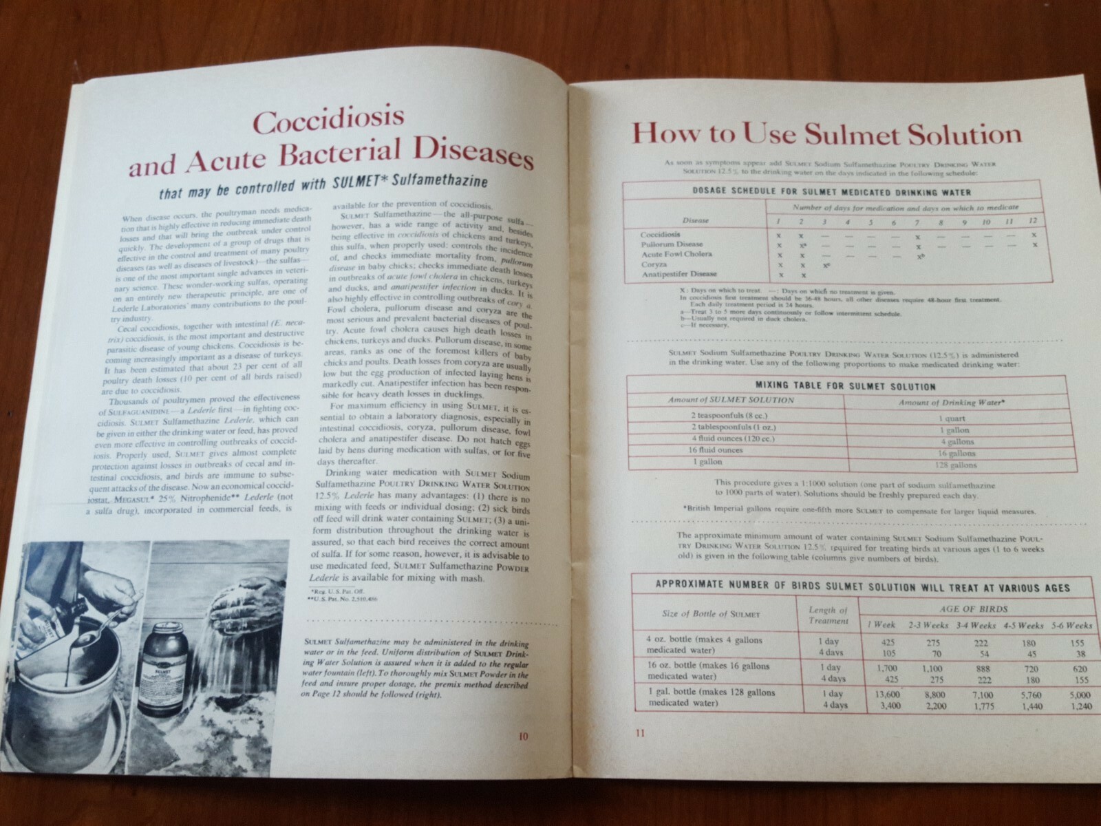 Lederle Labs * Control Of Poultry Diseases Mack Drug Co Middletown New York 1951