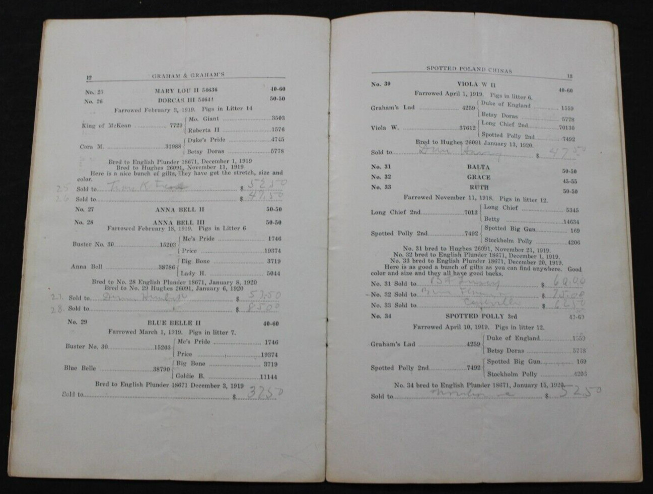 1920 SPOTTED POLAND CHINAS HOG PIG SALE CATALOG ~ NEW CASTLE, INDIANA