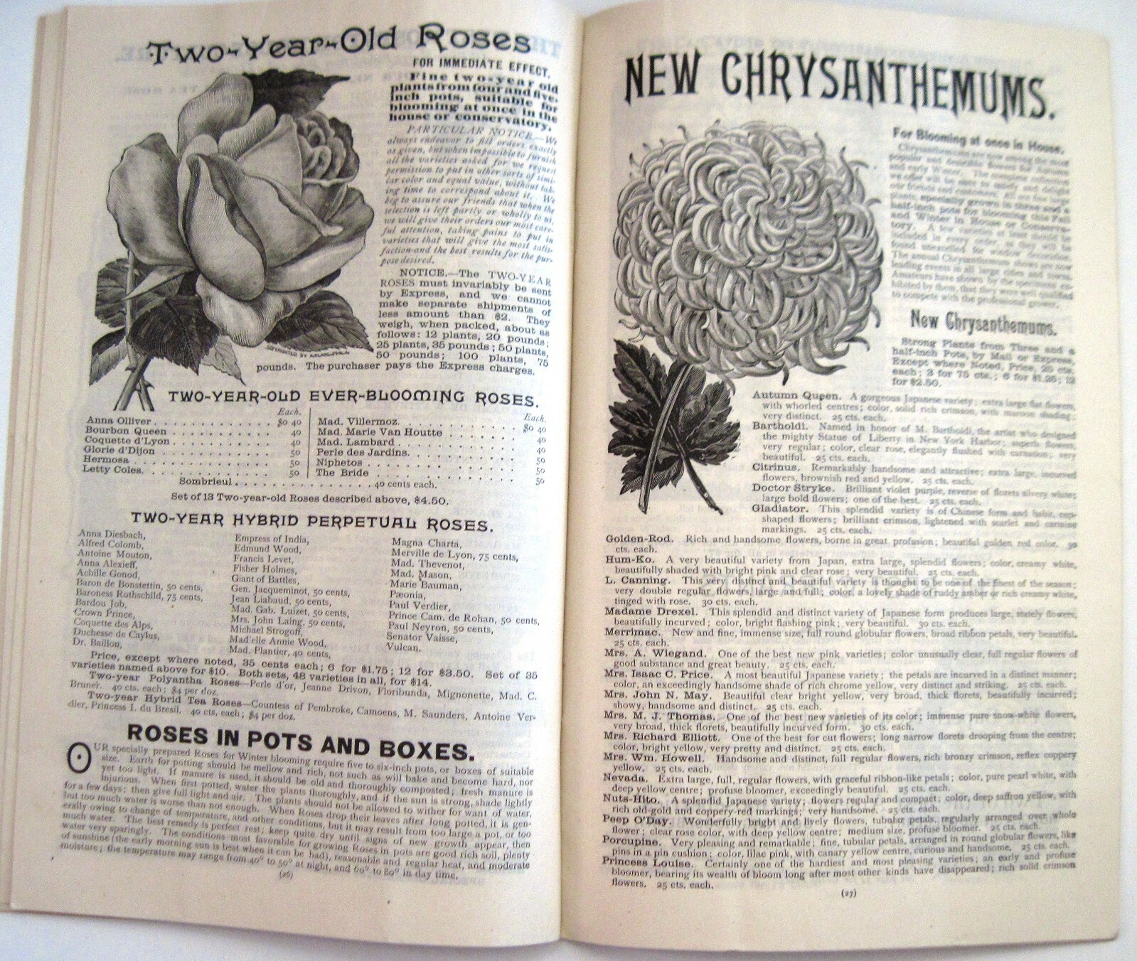1889 Catalog « New Autumn Guide » for Holland Bulbs, Roses & Lilies & Seeds *