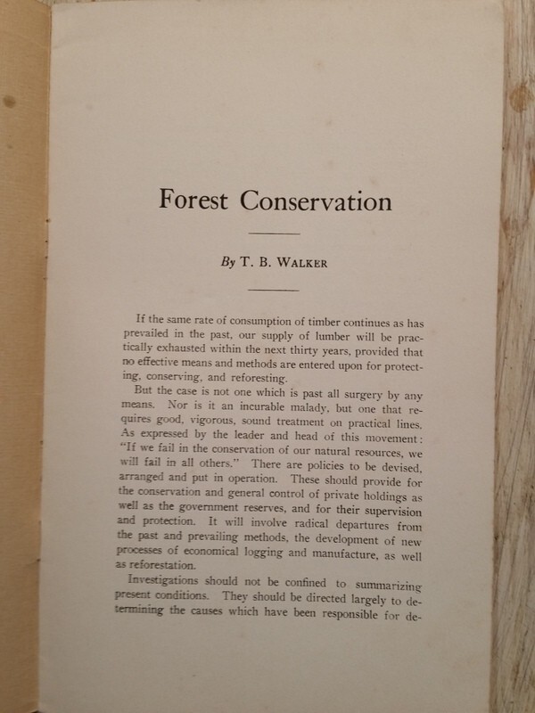 c1900 Forest Conservation by Thomas Barlow TB Walker