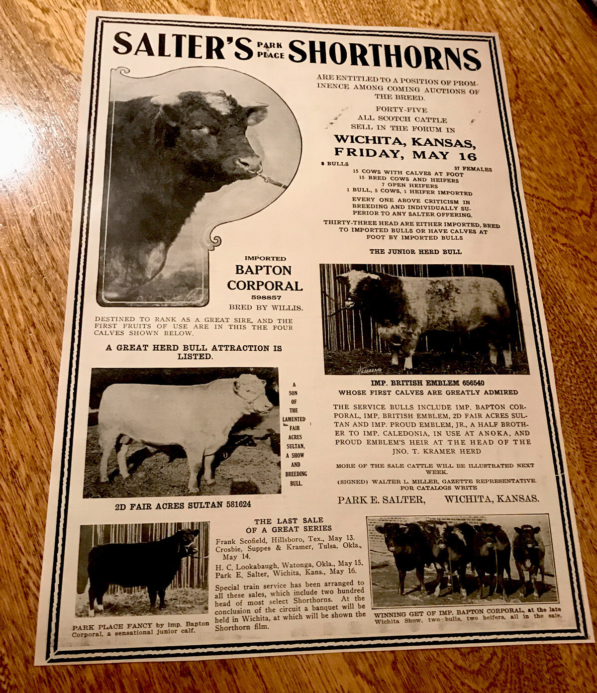 1919 Cattle Livestock Public Sale Poster – Wichita – Kansas – Cow Advertising