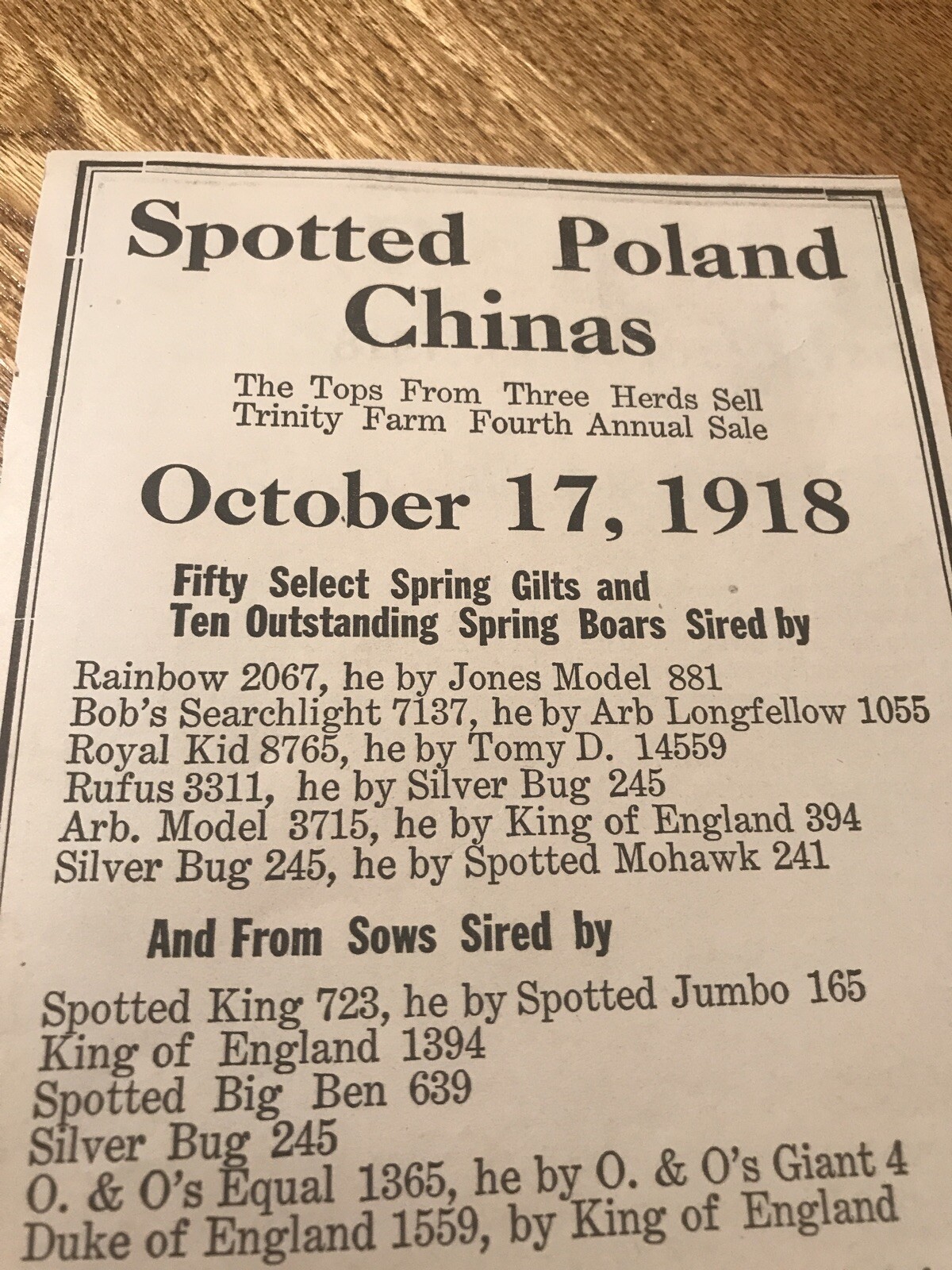 ORIGINAL 1918 Sow Public Sale Plainfield – Indiana – Farm Advertising – Hog Pig