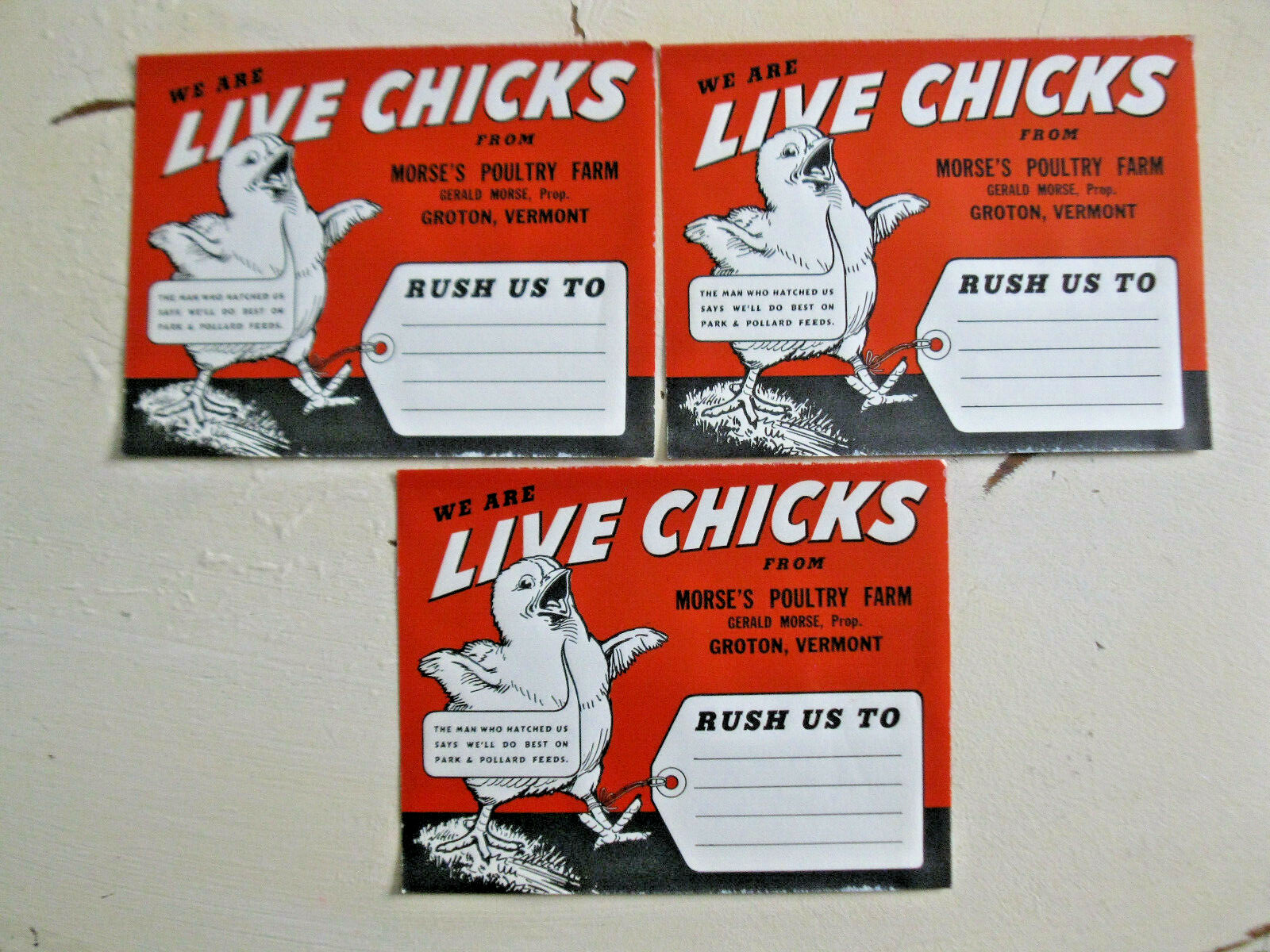 Vintage LIVE CHICKS Morse’s Poultry Farm Groton VT Label Signs Lot of 3