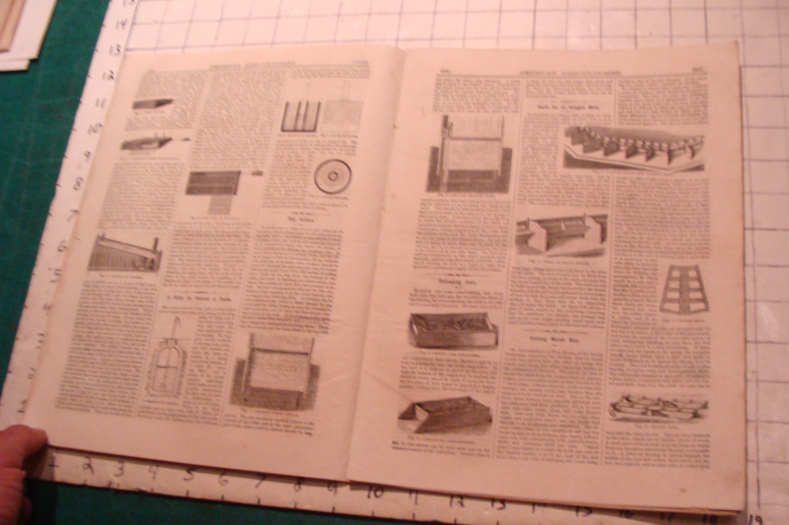 Vintage American Agriculturist 1876 august: TIGER, big puzzle, CRANDALL ADS