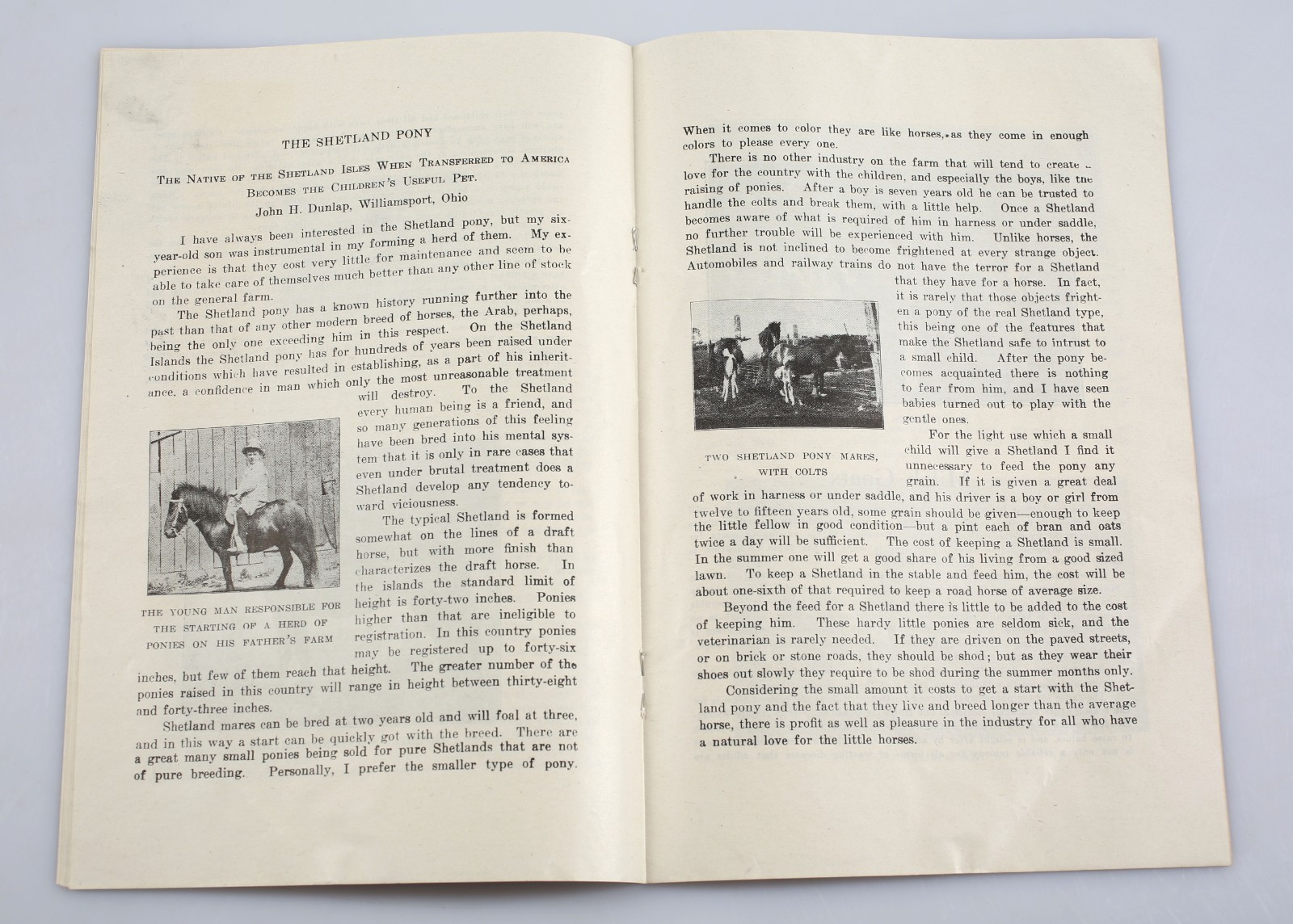 1933 John H. Dunlap Blue Ribbon Stock Farms Mule Foot Hogs Catalog + Ephemera