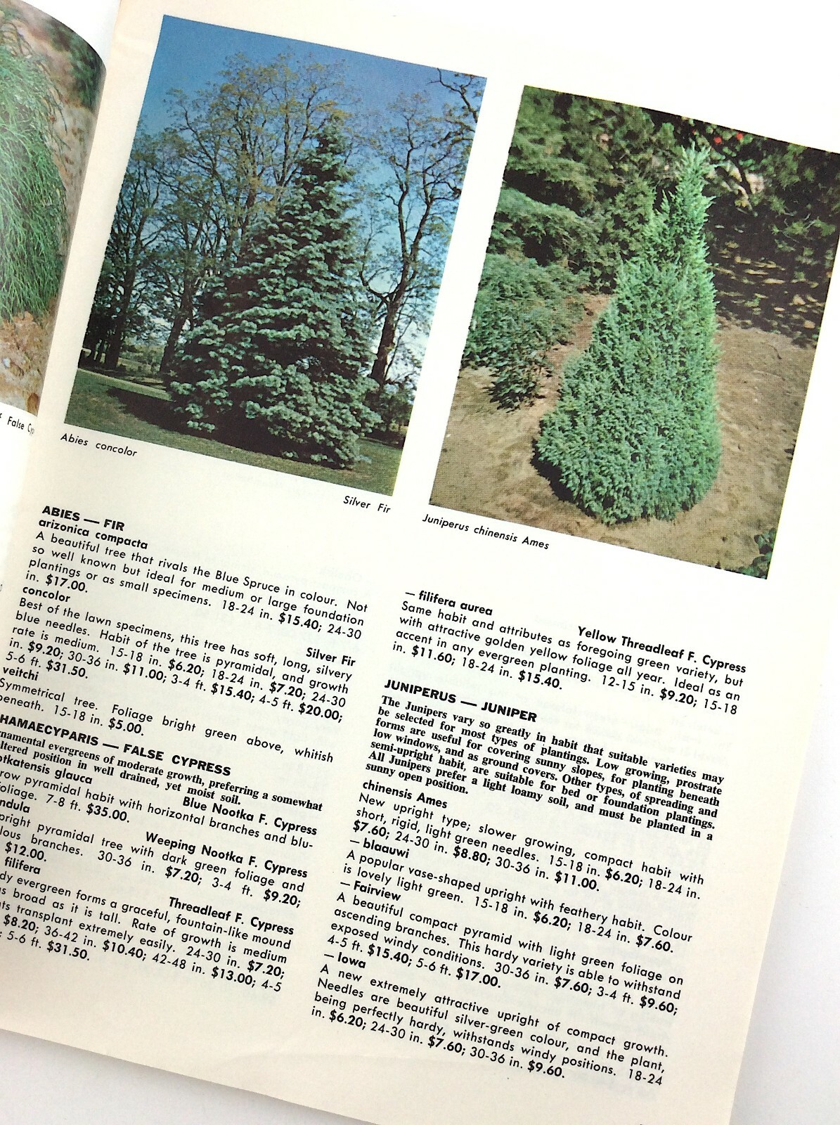 Vintage 1966 Seed Catalog Sheridan Nurseries Limited Ontario Canada Q288