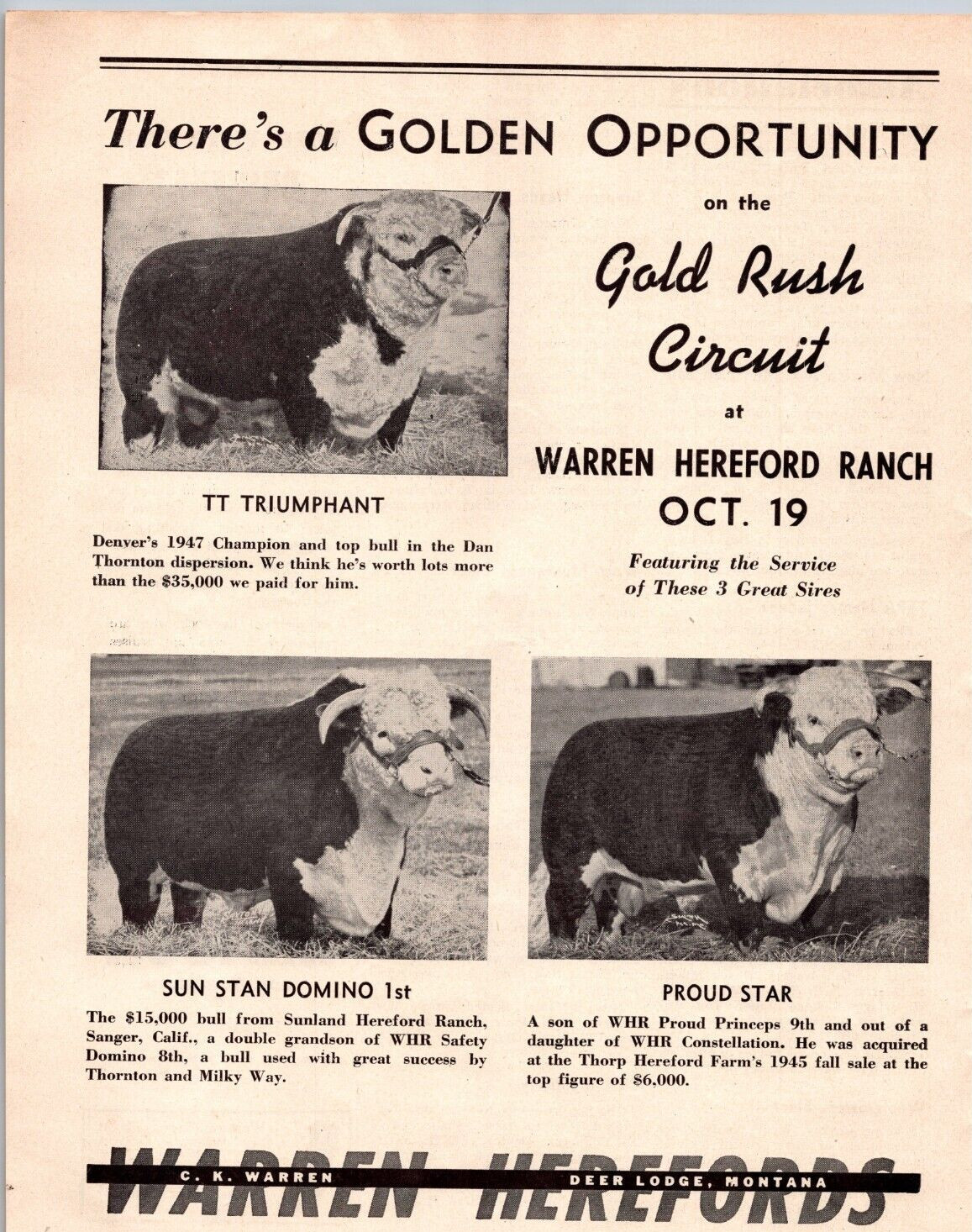 1948 Print Ad C.K.Warren Deer Lodge Montana Herefords Gold Rush Circuit Cattle