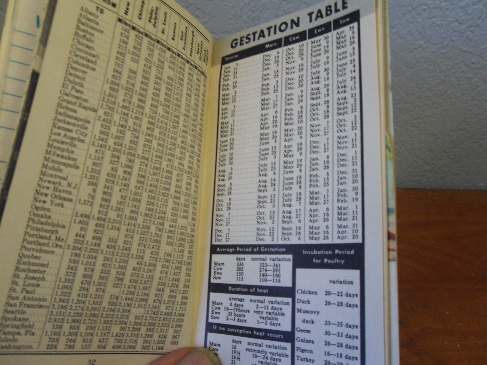 1949 -50 Swift’s Plant Food Service Red Steer Notebook Pocket Book Used