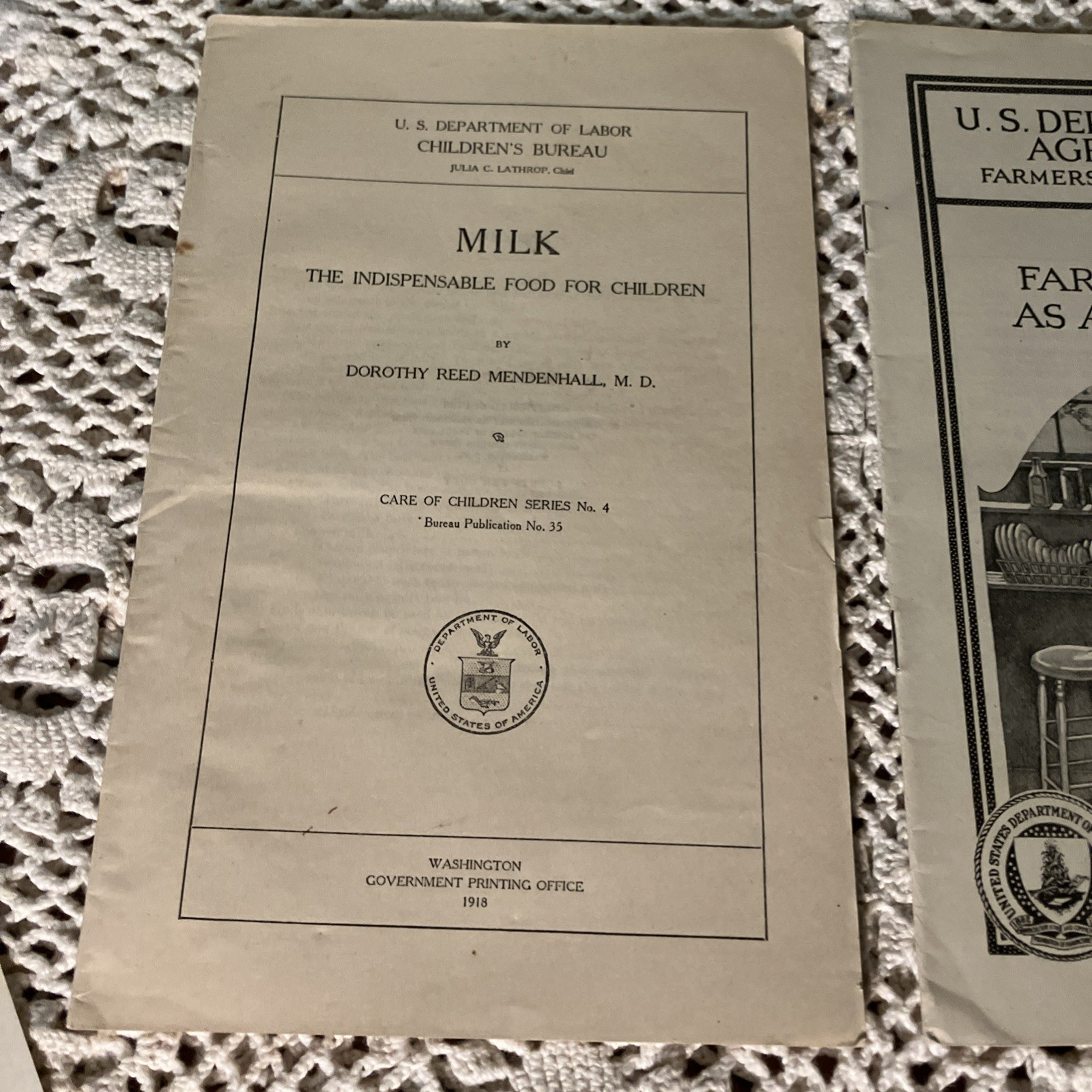 Departments of US Government Antique 1900&rsquo;s & 20&rsquo;s Bulletin&rsquo;s Pamphlet&rsquo;s -C