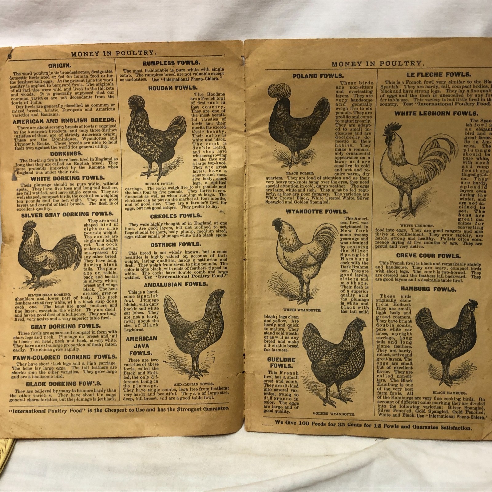 c1900s Money in Poultry Booklet International Poultry Food