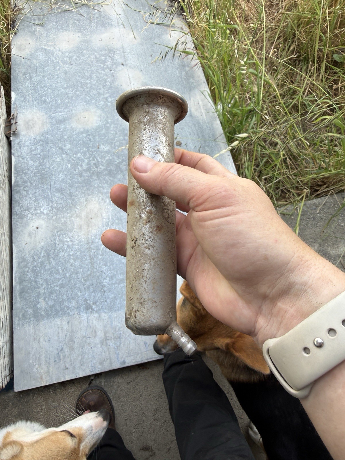 21 Teat cup shells for cow stainless steel