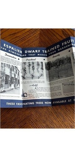 Henry Leuthardt 1939 Espalier Dwarf Fruit Tree Brochure Port Chester NY