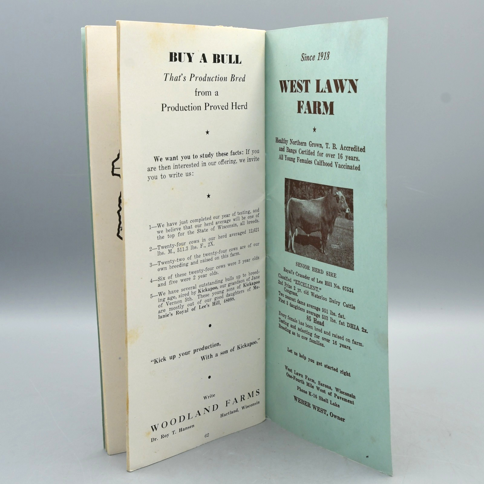 Wisconsin Brown Swiss Breeders Handi Book Directory 1951 Jane of Vernon Cover