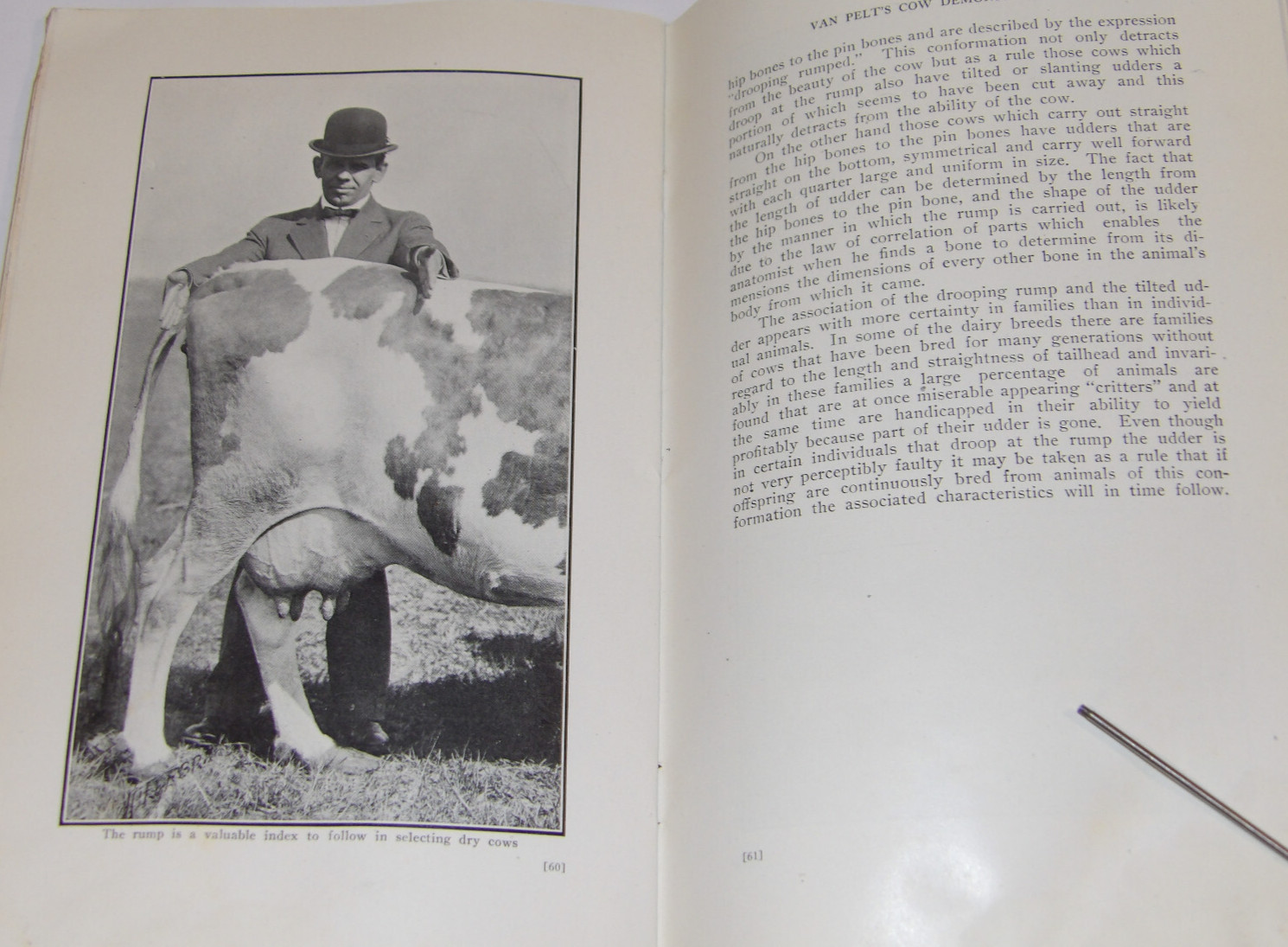 1911 VAN PELT&rsquo;S COW DEMONSTRATION BOOK! 1st EDITION! ILLUSTRATED! 5 ESSENTIALS!