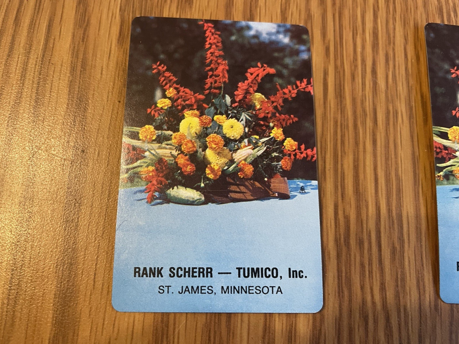 Rank Scheer Tumico Inc Playing Cards – St. James, Minnesota Original Box used