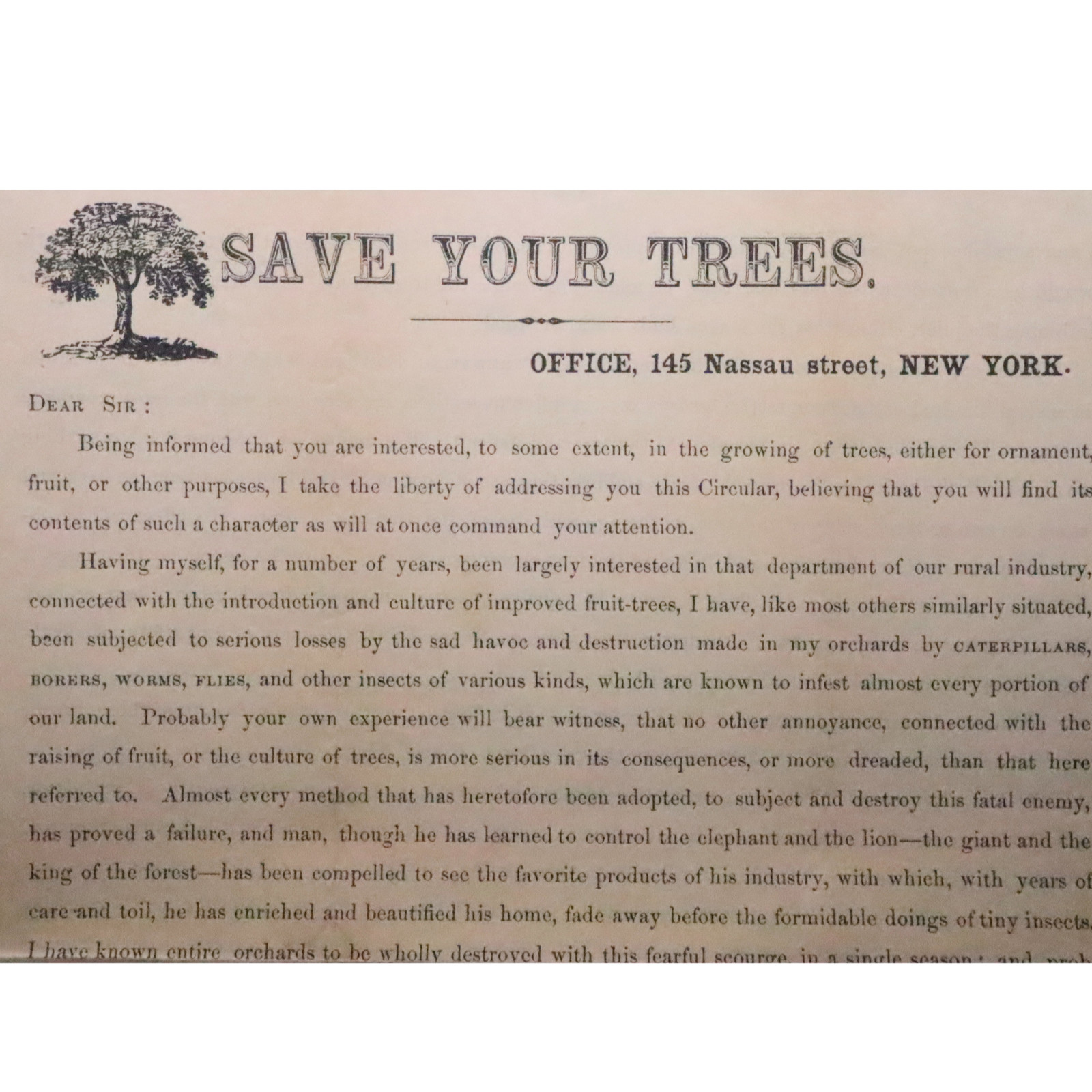 Rare Civil War Era Save Your Trees Circular C.H. Tyler NY Orchard Pest Broadside