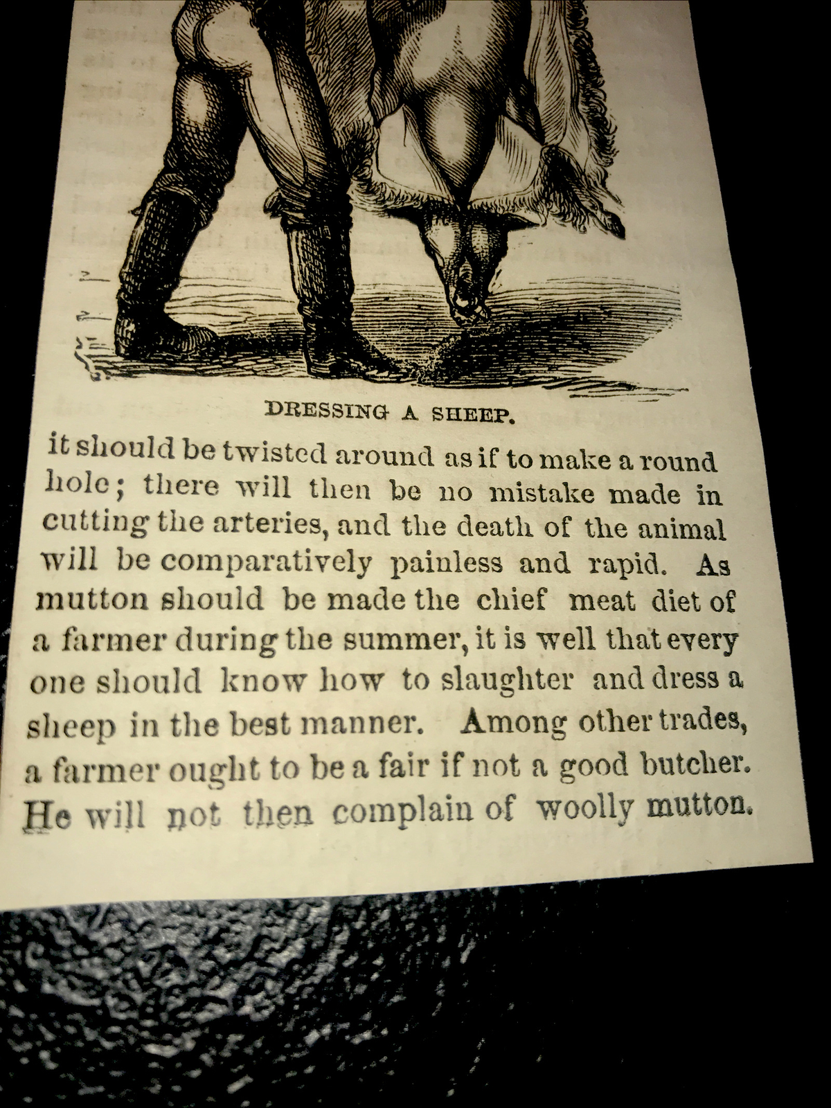 ORIGINAL 1872 Dressing A Sheep Farm Engraving Advertising & Article