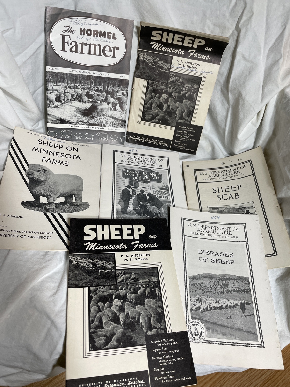 minnesota sheep farming bulletins