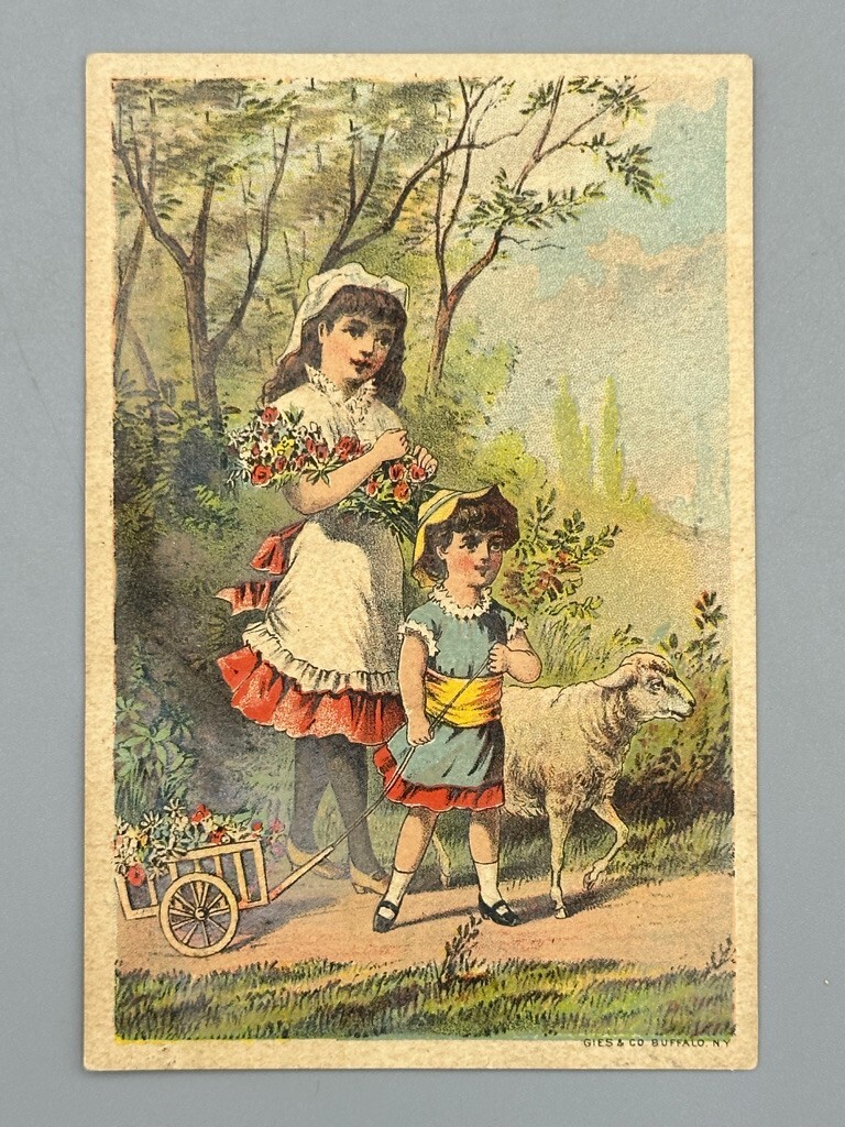 1880s SUPERIOR LAND ROLLER Grass Seeder Farm Advertise Trade Card GOUVERNEUR NY