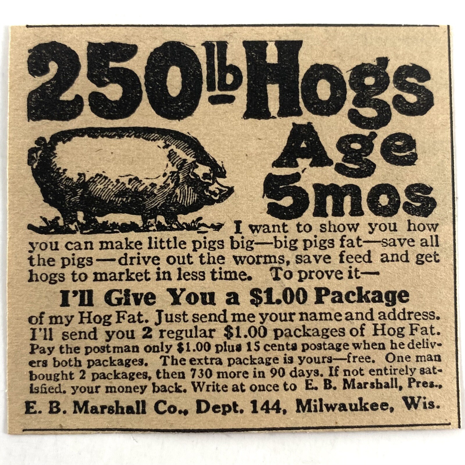 250 lb Hogs Antique 1927 Magazine Print Ad Old E.B. Marshall Pork Farm Milwaukee
