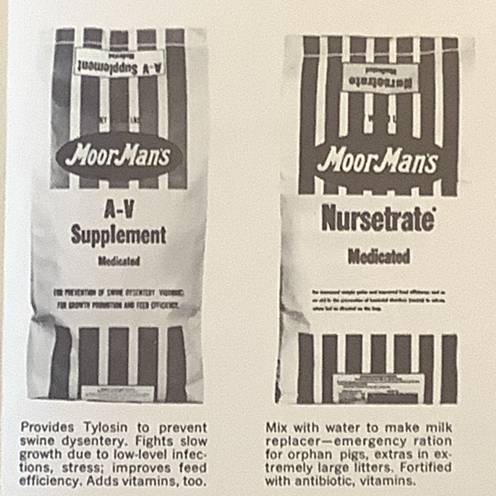 Vintage Moor Man’s Poster Quincy Illinois Hog Feed INV-AA01M