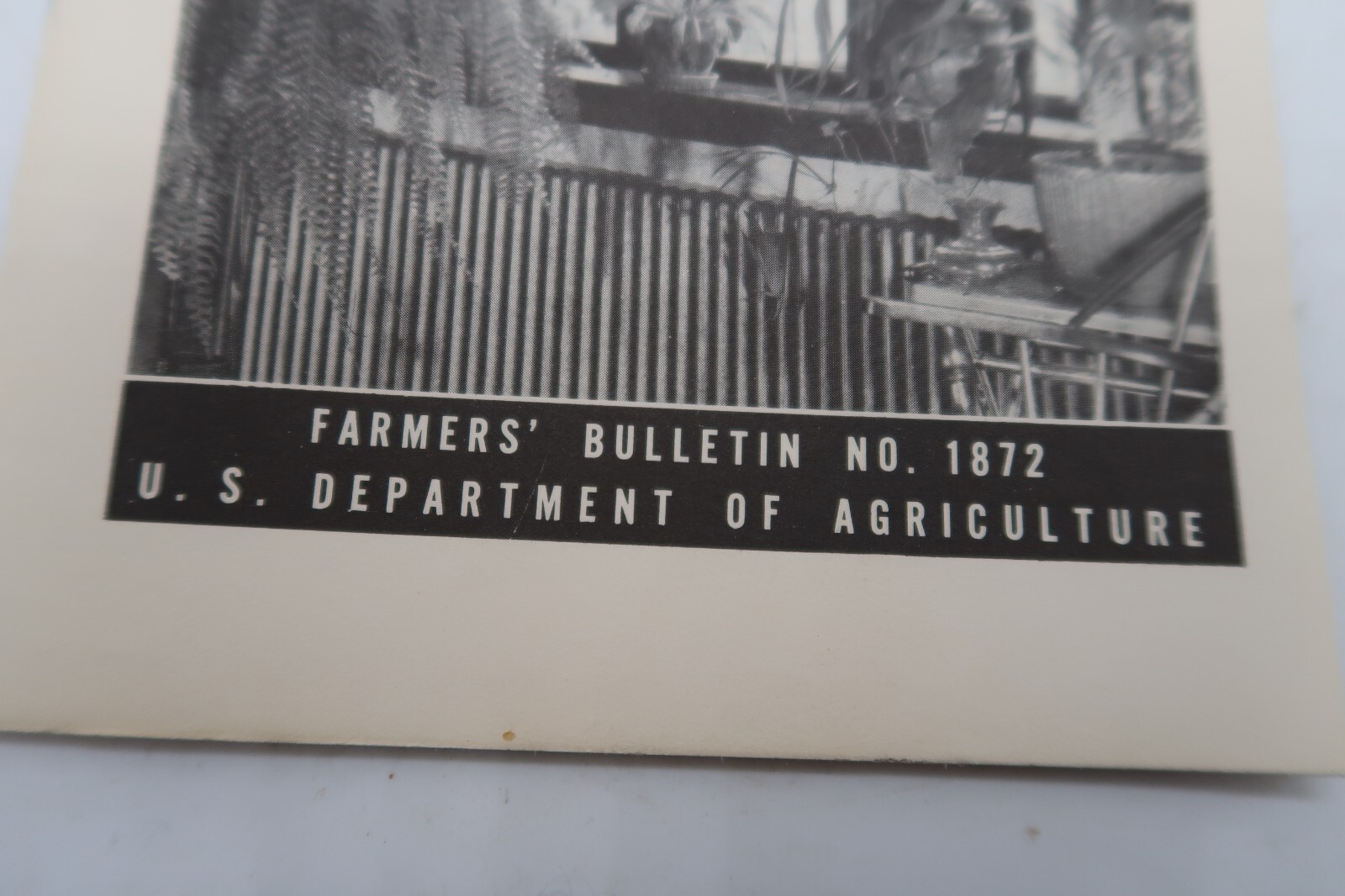 1941 USDA Farmers&rsquo; Bulletin No. 1872 House Plants Ephemera Furman Lloyd Mulford