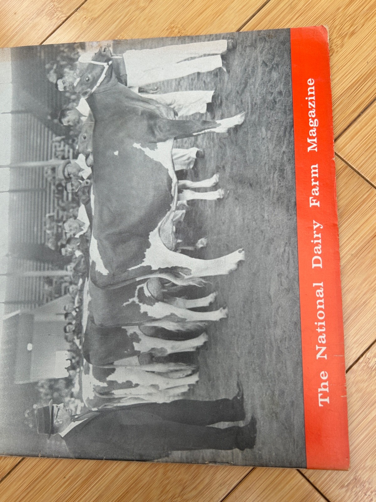 JAN 25 1963 HOARD&rsquo;S DAIRYMAN DAIRY FARM MAGAZINE GUERNSEY JUDGING CONTEST CLASS