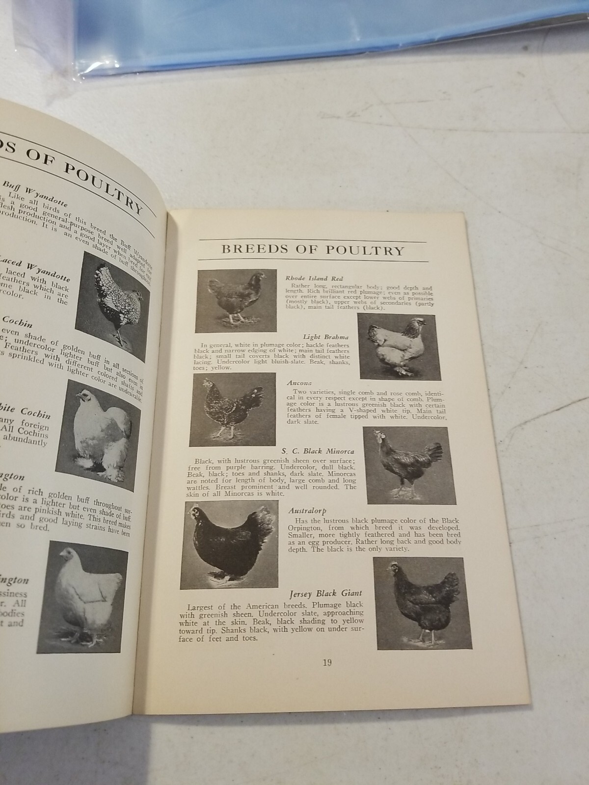1937 ESHELMAN BOOK OF FARM INFORMATION Breeds Dairy Chickens Crops Photos