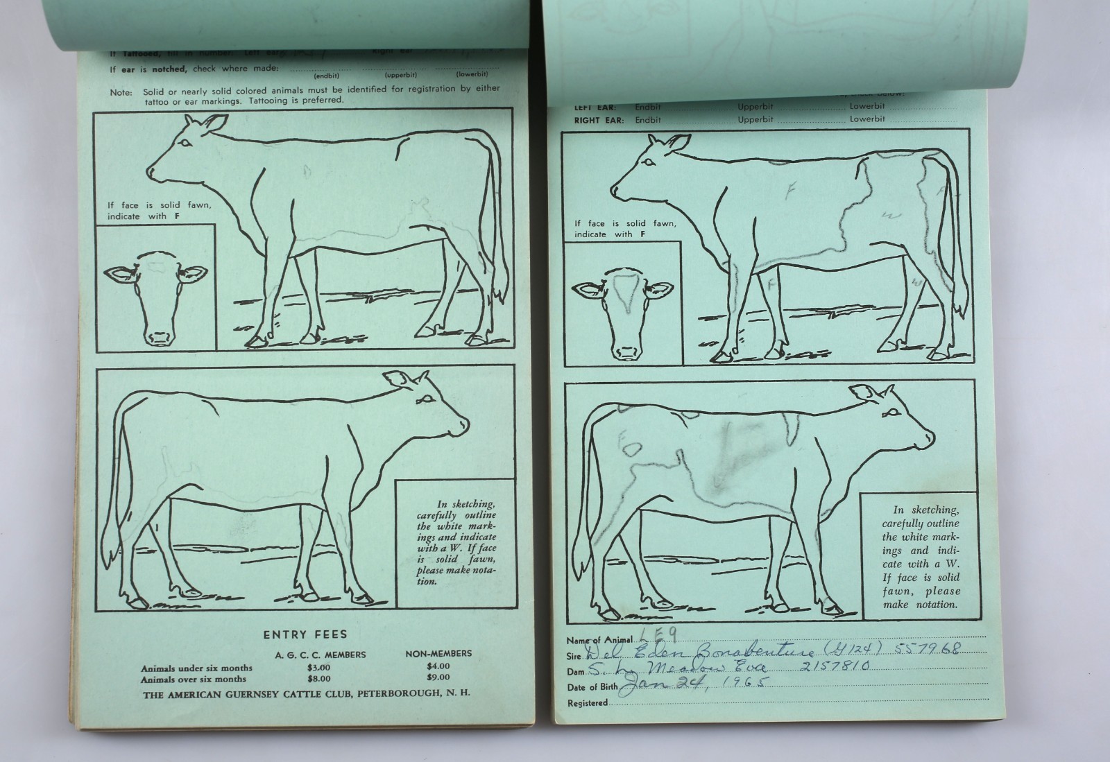 Lot of 2 American Guernsey Cattle Club Herd Registration Entry Application Books