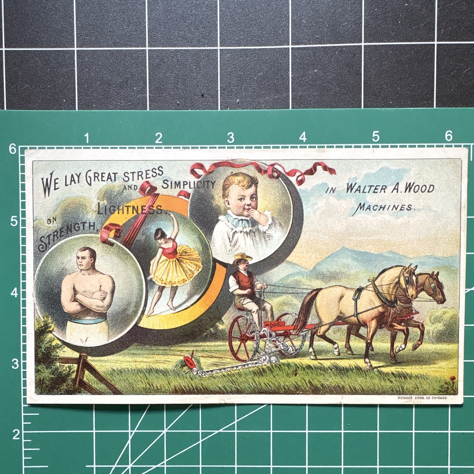 Walter A. Wood Agriculture Trade Card, Multicolor Original Advertising 1890s