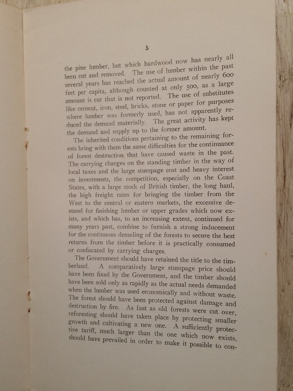c1900 Forest Conservation by Thomas Barlow TB Walker